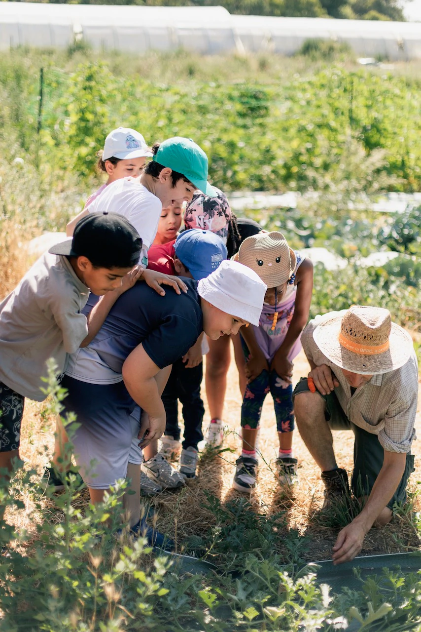 Groupe d'enfants et un homme, leur professeur, accroupis devant un parterre de potager 